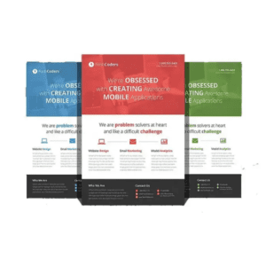 Political Campaign Flyers